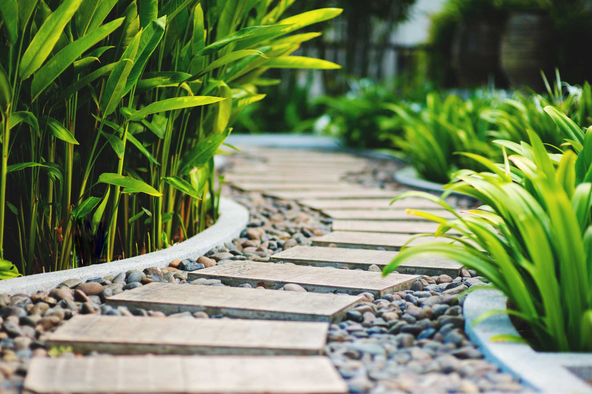 Header Image for Complex mortgages